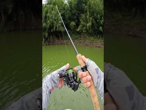 Spinning Rod Precise Cast?