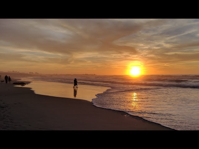 Beach Scenes