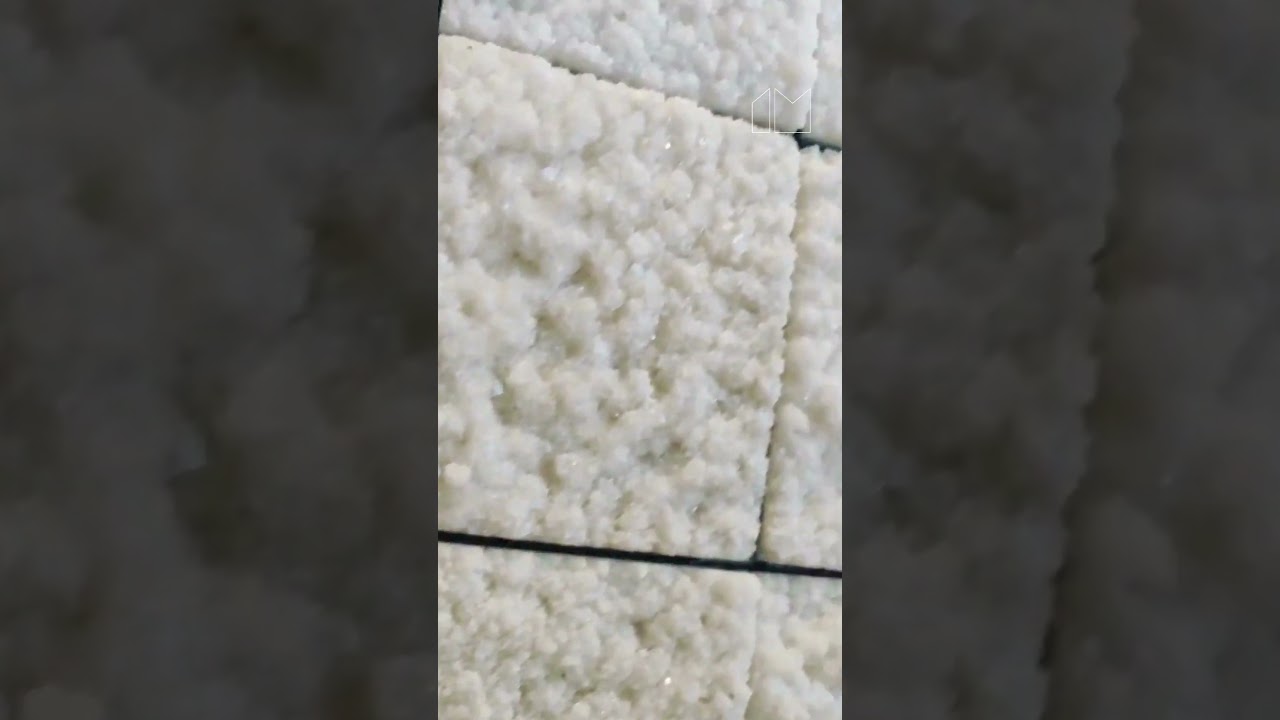 Salt to Structure: Transforming Abundant Resources into Architectural Innovation