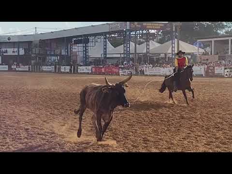 rodeio da  vacaria 2024 R S bom dimais  dia  10 02 24