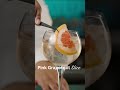 Peach Apricot Gin Tonic Recipe | Easy Cocktail with MONIN