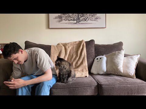 Album Exchange #3:Rank & Review!