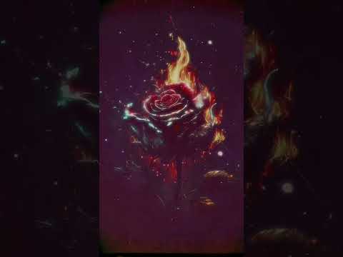 Video thumbnail 9VZPptY1NwY