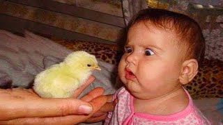 Funny and Cute Baby Moments : 1001 Funny Baby Reaction When Play with Chicken | Funny Videos
