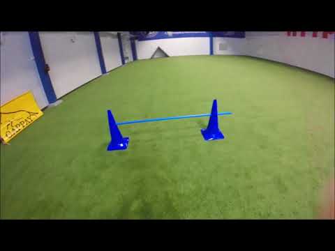 Hallitokoilua (D&M)  22.12.2017 || Obedience training