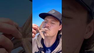 Rescuing Real Life Patrick Star! #animals #shorts