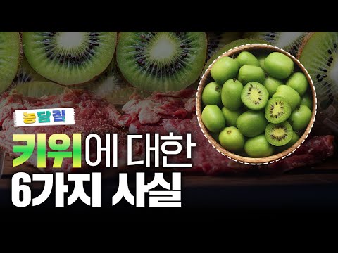 키위, 당신이 몰랐던 6가지 사실|농담짚