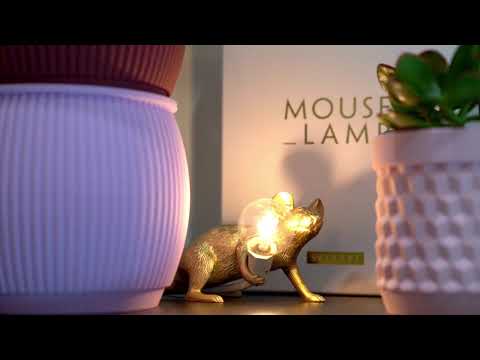 SBAM DESIGN  Concept Store - Busto Arsizio