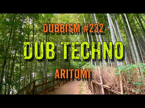 DUB TECHNO || DUBBISM №232 - Aritomi