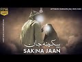 Sakina Sa Jan Farhan Ali Waris Whatsapp Status By Ishq E Haider Official
