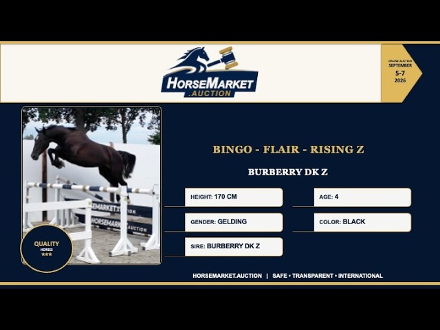 Bingo Flair Rising Z