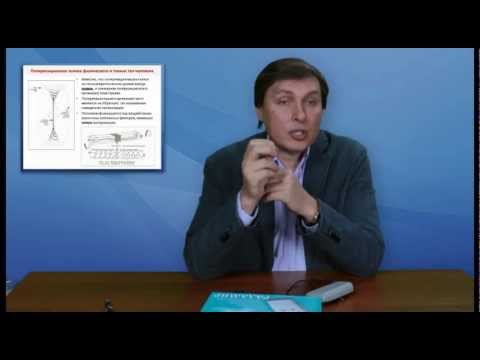 Принципы и механизмы работы аппарата 'РАДАМИР'