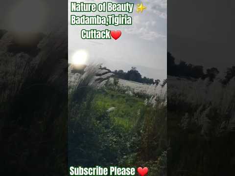 Nature of Beauty❤|Badamba Tigiria Nature View✨️ #shorts #odia #pranati #dailyshorts #nature #Tigiria