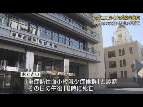 YouTube Video マダニに咬まれ感染症を発症した静岡市の女性が死亡 浜松市の60代男性は集中治療室で治療中