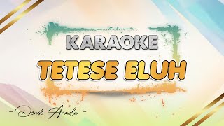Download lagu Tetese Eluh - Denik Armila || KARAOKE || LAGU BANYUWANGIAN mp3