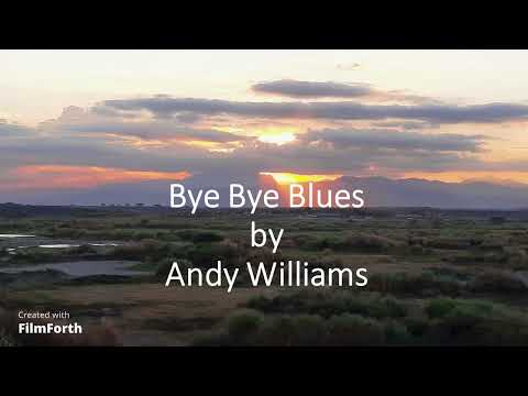 Andy Williams - Bye Bye Blues
