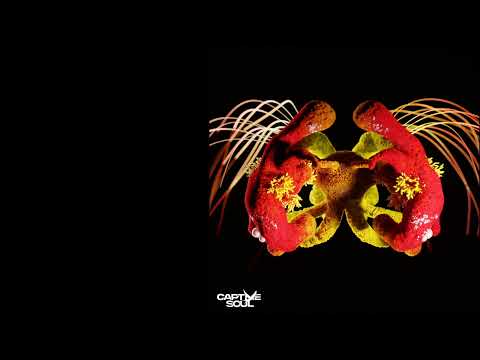 David Lindmer & Fabian B. - Don`t Call Me