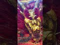 Chinese Gold Dragon (HD) 中国金龙高清