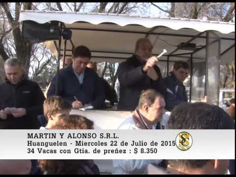 22-07-15 Venta de Vientres - Martin y Alonso S.R.L. - Huanguelen.