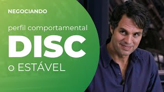 Como reconhecer e interagir o perfil ESTÁVEL - Perfil Comportamental DISC #021