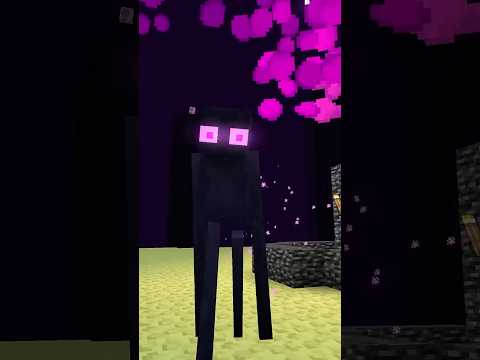 3 Dinge, die Sie über Aktionen und andere Dinge WISSEN MÜSSEN #minecraft #minecraftshorts