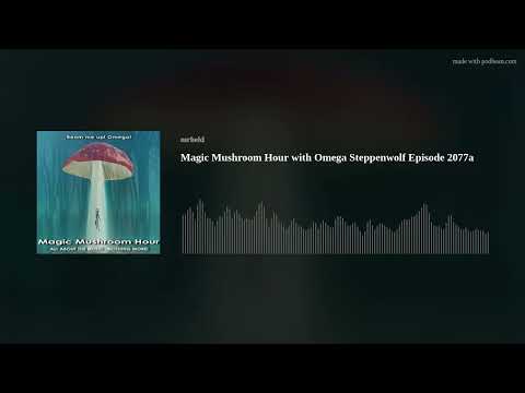 Magic Mushroom Hour with Omega    Steppenwolf  Episode 2077a