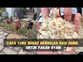 How To Process Aged Rice For Chicken Feed Without Processing Chickens Can Get Sick