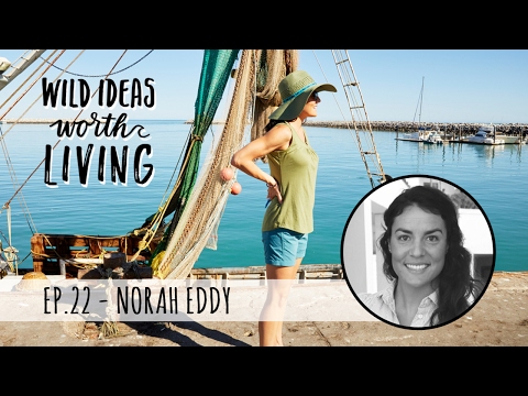Saving the Ocean with Sustainable Seafood Practices with Norah Eddy