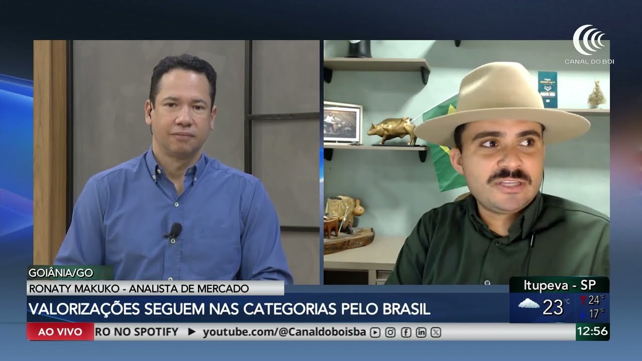 Mercado pecuário mantém valorização em diferentes categorias