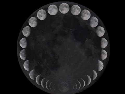 Lehu - Full cycle Cut