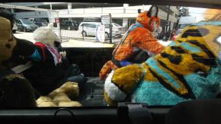 FWA 2014 - Dance Comp Opening Behind the Scenes