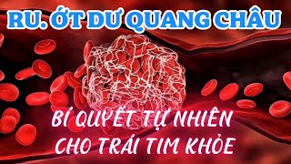 RU. DU QUANG CHAU chili with cardiovascular and blood vessel blockage