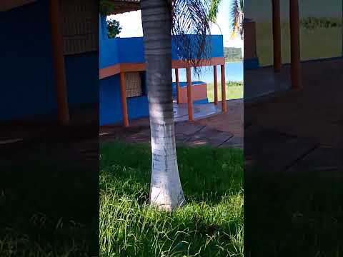 dando passeio em lagoa dos Patos Minas gerais #saboresdaroca #roça #vidanaroça