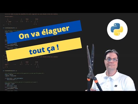 Mémoire et structure Présentation de la mémoire