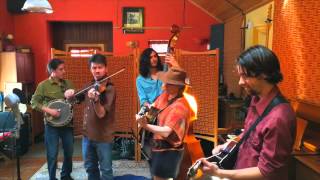 Cluck Old Hen (LIVE)