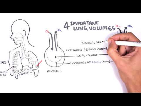 image-How do you calculate tidal volume in lungs?