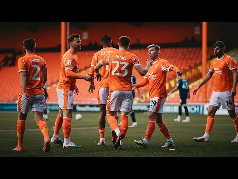 bg-highlight