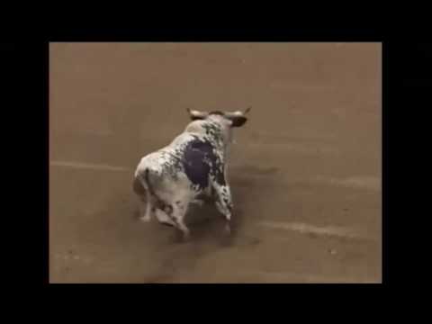 Adriano Moraes vs Bone Collector - 01 PBR St. Louis (90.5 pts)