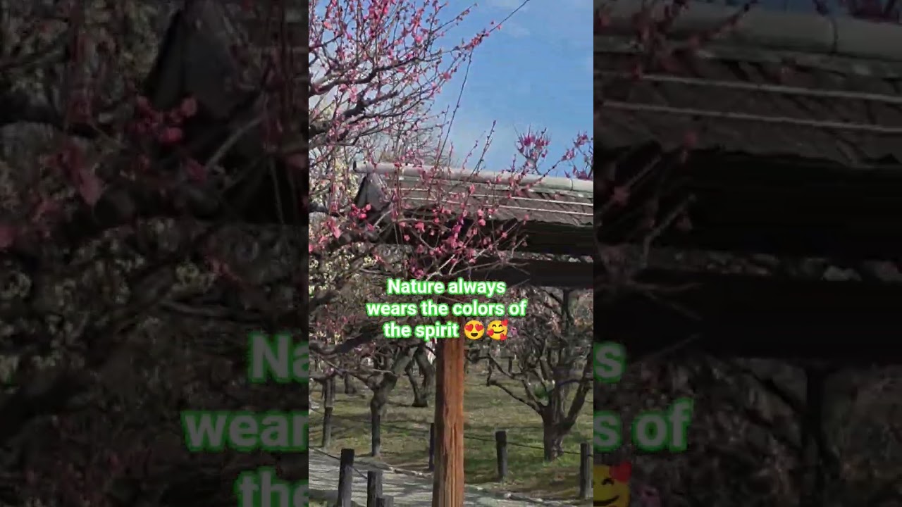 Walking in the nature means walking your soul back home. 🥰🥰 #nature  #naturephotography #short