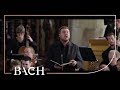 All of Bach - St Matthew Passion (BWV 244 ...