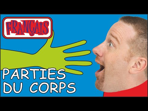 Les Parties du Corps pour les Enfants | Rêve en Français avec Steve and Maggie Français