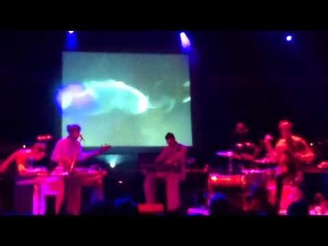 The Lay Llama - We are you