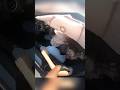 This Kid Was Lucky To Be Alive Shorts Bike Biking Accident Scary