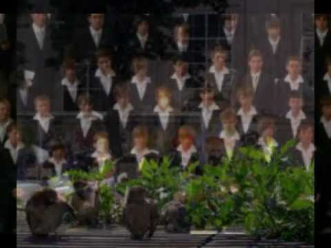 Blumengruss by Wolf  - JAPAN FOREVER In Memory of Japan's Tragedy performed by Albena Kechlibareva