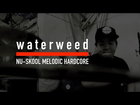 waterweed - The rotten circle (Studio Session)