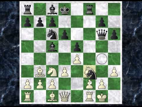 Neizbezni mat u Traxlerovom protivnapadu - WINKELMAN vs KOCH # 523