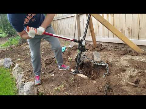 Tree stump removal DIY - pull it out with a Hi Lift Jack!