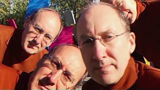 Vladimir Cauchemar - Aulos (PsyTrance remix)