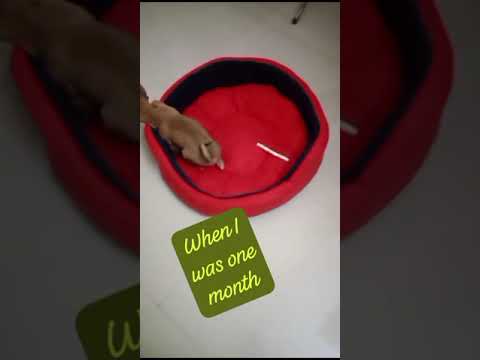 #When I was one month ❤️❤️❤️