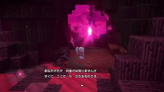 ドラゴンクエストビルダーズ2＃14